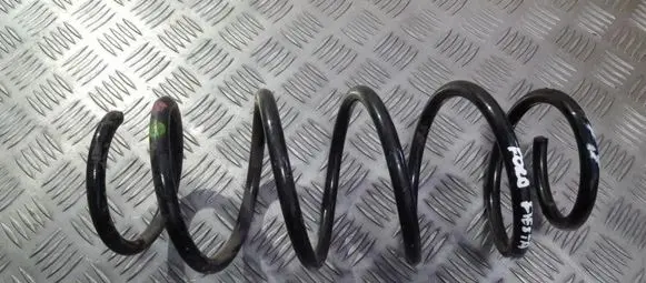 Front coil spring
