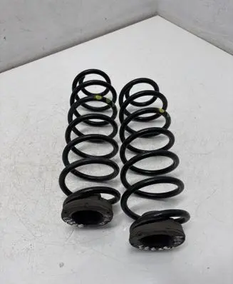 Rear coil spring