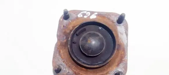 Coil spring mount
