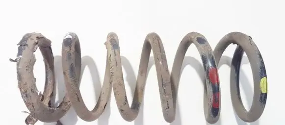 Chevrolet Captiva Rear coil spring
