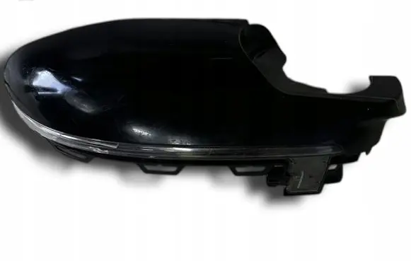 BMW X6 F16 Mirror indicator light 698119698121