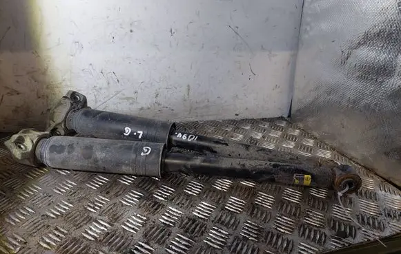 Rear shock absorber/damper