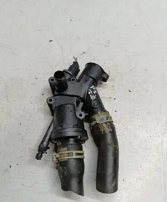 Thermostat/thermostat housing