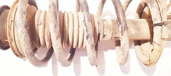 Chevrolet Aveo Front coil spring 