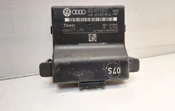 Volkswagen PASSAT B6 Gateway control module 3C0907530C