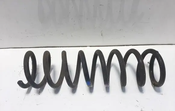 Rear coil spring