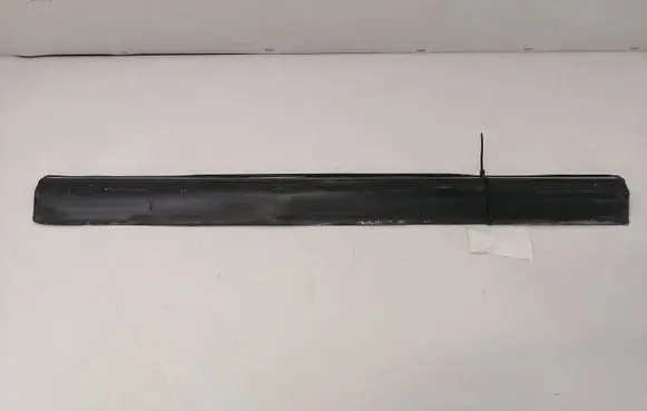 Rear door trim (molding)