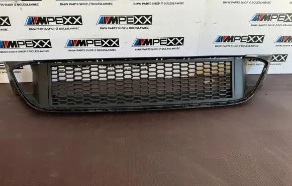 BMW 5 F10 F11 Front bumper lower grill 8049347