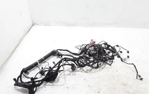 Other wiring loom