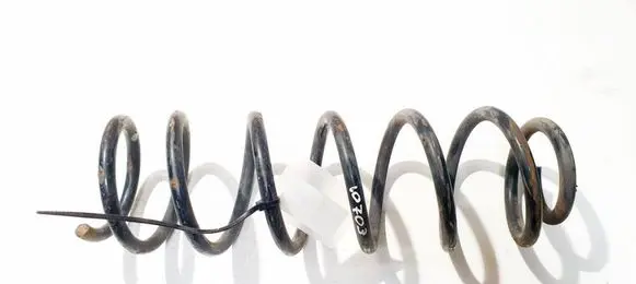 Renault Megane III Rear coil spring 