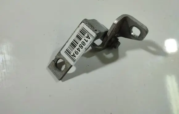 Rear door lower hinge