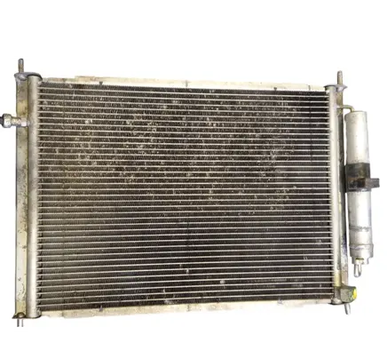 Renault Clio III Coolant radiator 