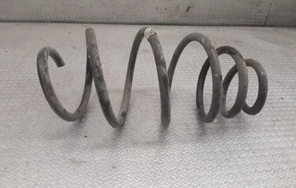 Front coil spring