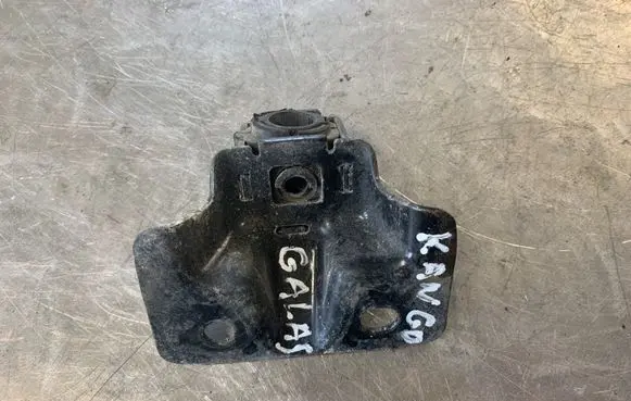 Renault Kangoo II Rear door lower hinge