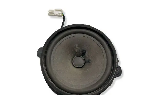 Chevrolet Captiva Rear door speaker 25907866