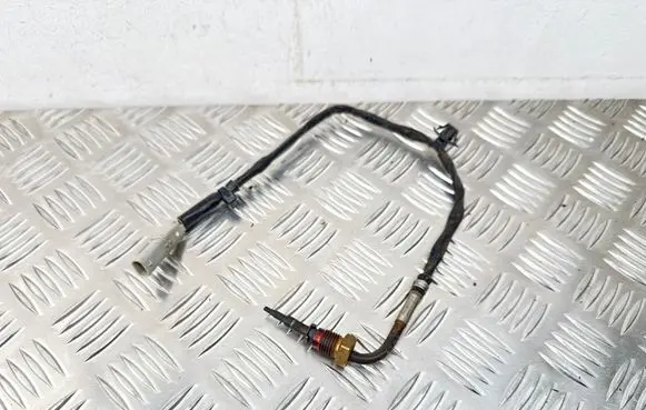 Hyundai Kona I Exhaust gas temperature sensor 39230040S1