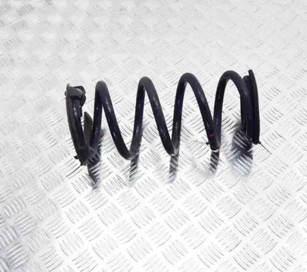 Tesla Model 3 Rear coil spring 104447291E