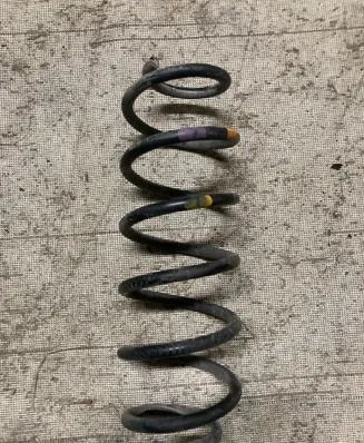 Rear coil spring