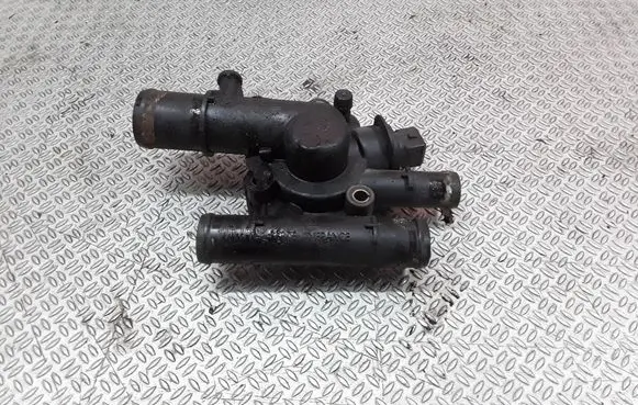 Thermostat/thermostat housing
