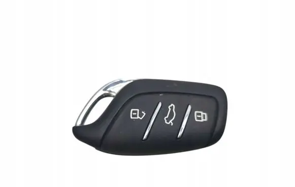 MG ZS Ignition key/card 