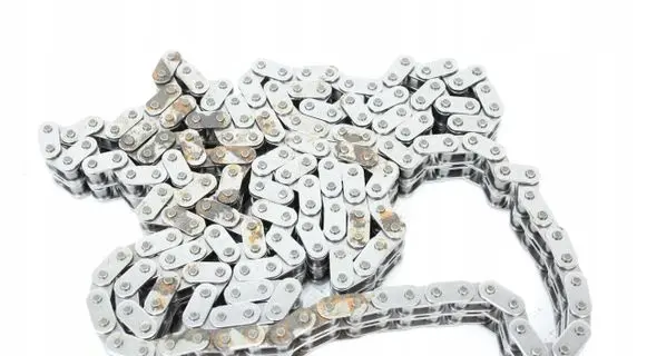 BMW Z8 E52 Timing chain (engine) 1407052