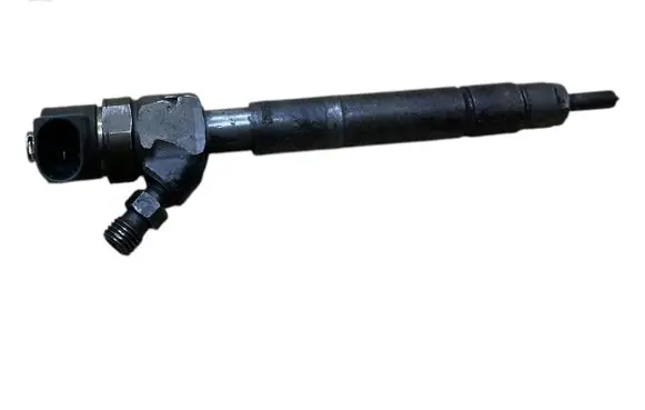 Mercedes-Benz Sprinter W906 Fuel injector 0445110070 A6110700887