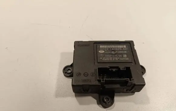 Land Rover Range Rover Sport L320 Door control unit/module AH2214D620AD