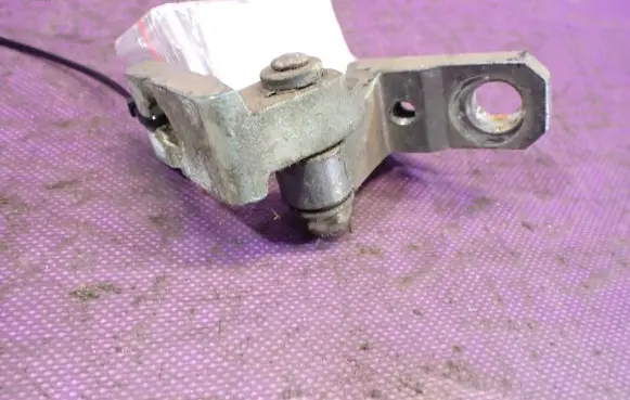 Volkswagen Touran I Front door lower hinge 