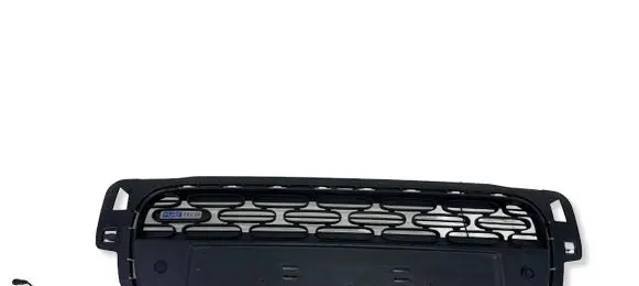 Citroen C3 Front bumper lower grill 9812061877