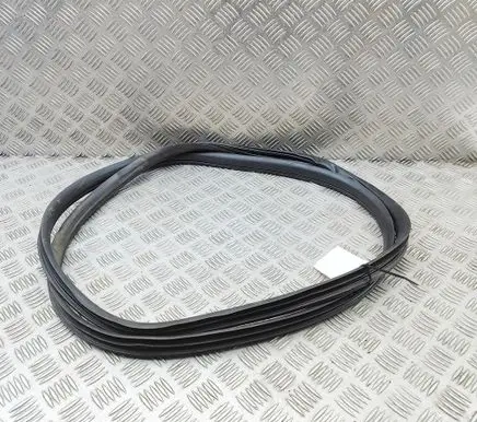 Ford Ranger Rubber seal rear door EB3B2620782AB