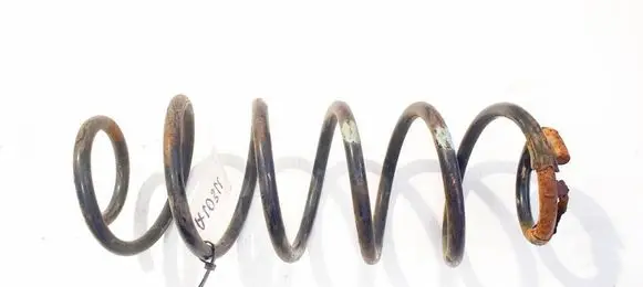 Rear coil spring