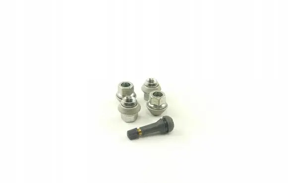 Ford Focus Nuts/bolts 