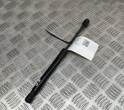 Audi A5 8T 8F Tailgate/trunk strut/damper 8F0827550A