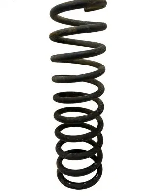 Ford Focus Rear coil spring