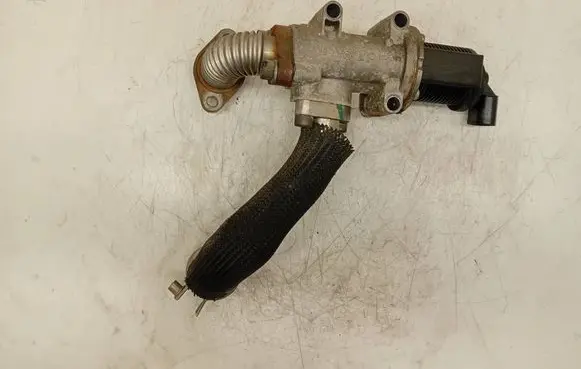 Opel Zafira B EGR valve 50024005