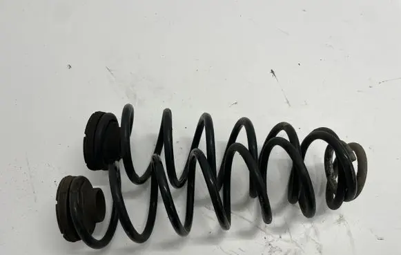 Skoda Fabia Mk3 (NJ) Rear coil spring