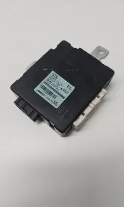 KIA Sorento Door central lock control unit/module 954003E300