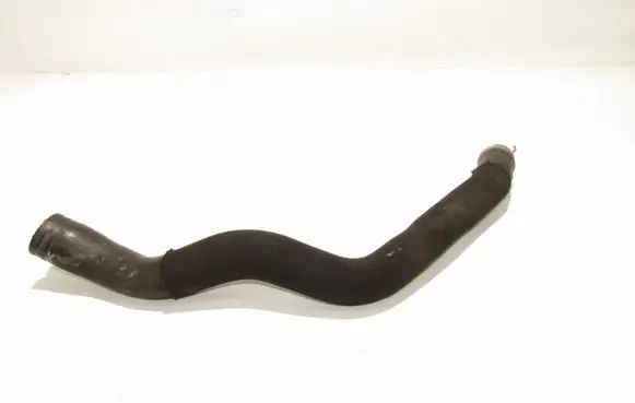 Mercedes-Benz A W169 Engine coolant pipe/hose A1695011382