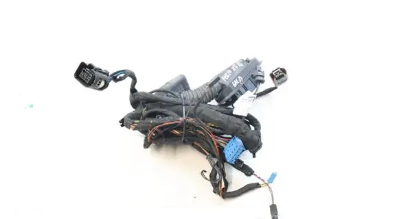 BMW M6 Rear door wiring loom 9355663