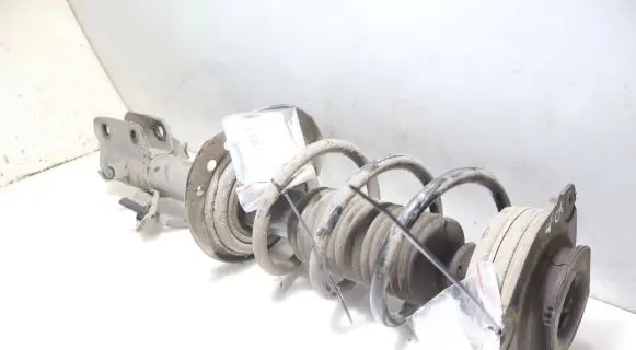 Nissan Juke I F15 Front shock absorber with coil spring