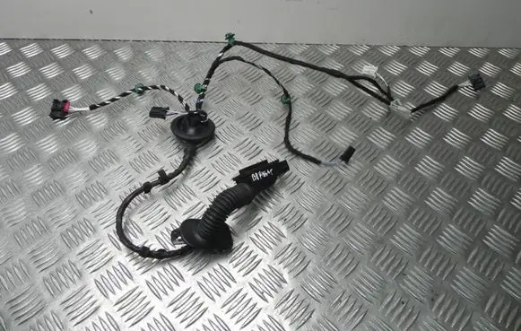 Volkswagen PASSAT B8 Other wiring loom 3G0971693F T1919