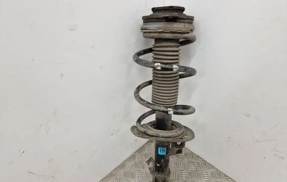 Renault Koleos I Front shock absorber with coil spring 
