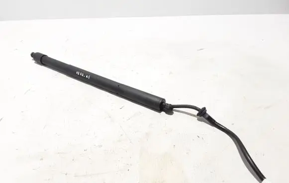 Tailgate strut