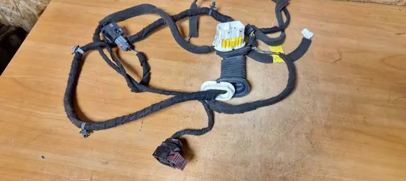 Opel Antara Front door wiring loom 613556841 C145SDRH F1054139