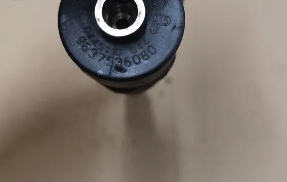 Peugeot 406 Fuel injector 0445110044