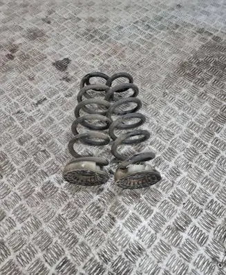 Nissan Ariya Rear coil spring 