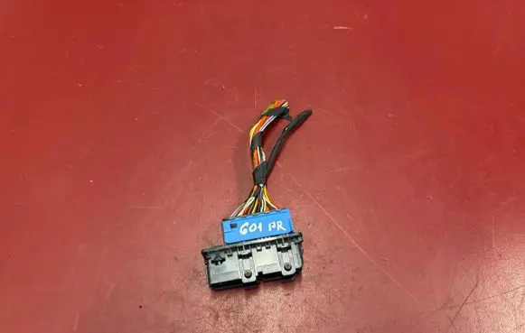 BMW X3 G01 Front door wiring loom 9221027