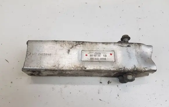 Audi A6 S6 C6 4F Front bumper shock/impact absorber 4F0807133
