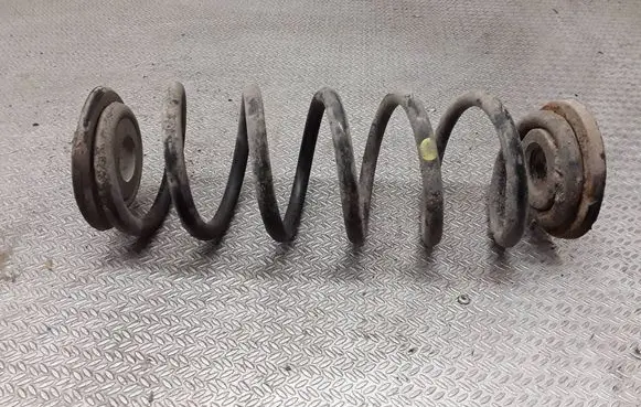 Volkswagen Golf V Rear coil spring 