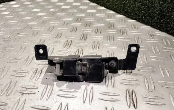 Renault Trafic III (X82) Sliding door check strap stopper 12381J496 65710 12381J